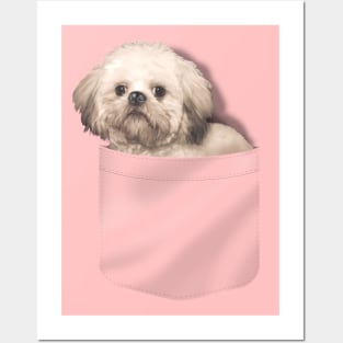 Pocket Shih Tzu Posters and Art